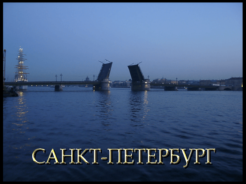 Санкт-Петербург. Заседание секции научно-популярного кино