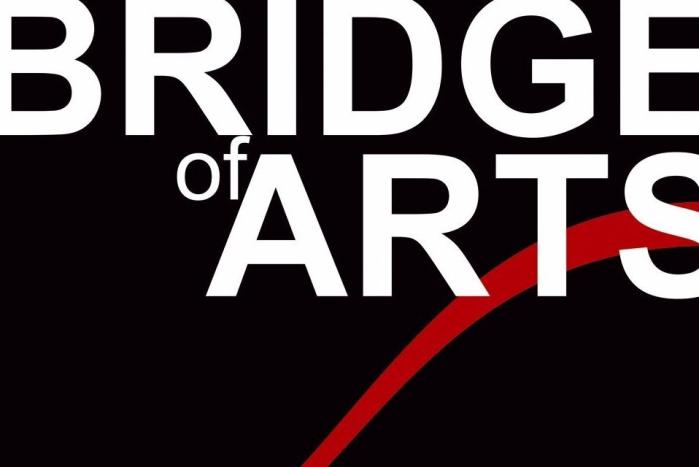 Ростов-на-Дону.   "BRIDGE of ARTS".   Питчинг документальных проектов.