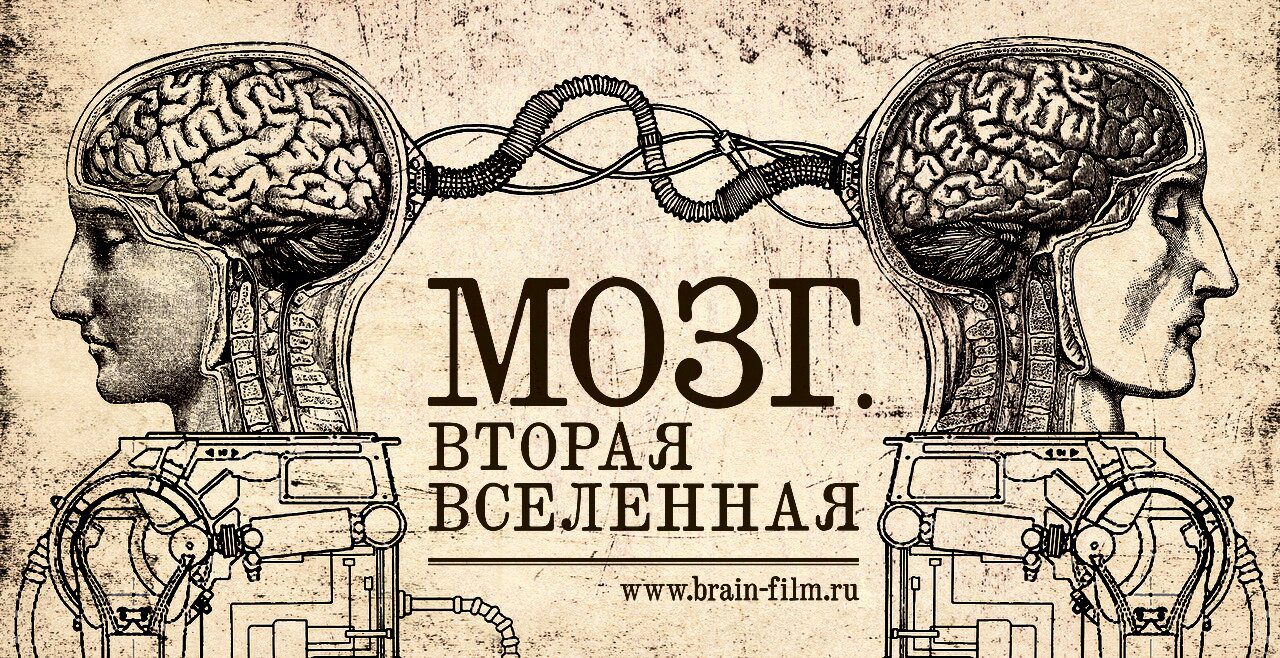Киноклуб «Русский путь» представляет показ документального фильма режиссера Юлии Киселевой «Мозг. Вторая Вселенная»