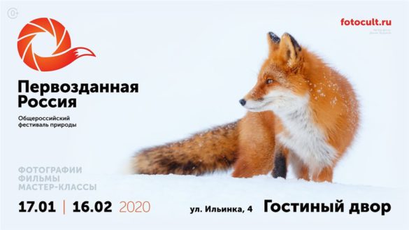 Открытие VII Общероссийского фестиваля природы «Первозданная Россия»