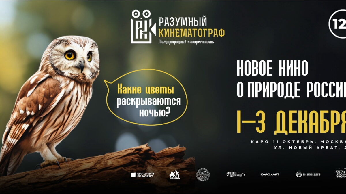 1-3 декабре в Москве (кинотеатр «Октябрь») пройдет  Х Международный фестиваль «Разумный кинематограф»