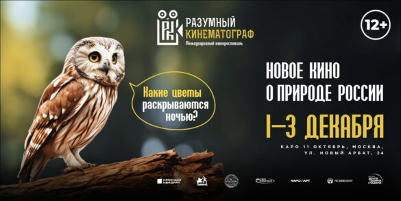 1-3 декабре в Москве (кинотеатр «Октябрь») пройдет  Х Международный фестиваль «Разумный кинематограф»