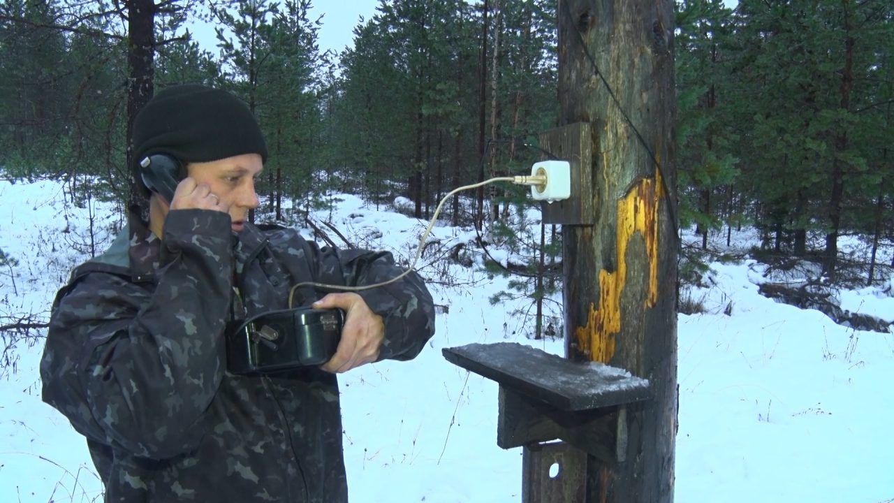 Документальное кино «Признаки жизни», 2021 г. Автор сценария и режиссёр — Галина Леонтьева. ООО «Продюсерский центр документального кино». Аннотация: Фильм о том, как по последней в России узкоколейной железной дороге вывозят заготовленный лес. Вместе с вырубленным лесом погибают и деревни, расположенные рядом. Герои картины — жители отдалённой вологодской деревни — ещё надеются, что их узкоколейка будет работать, но пустота вырубленных вокруг деревни лесов приближается к их жизни…